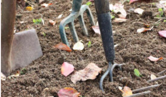 Prepare your soil in the FALL for better planting in the SPRING!