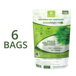 6 Bags (5% OFF)