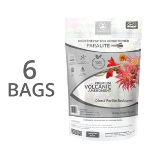 6 Bags (5% OFF)